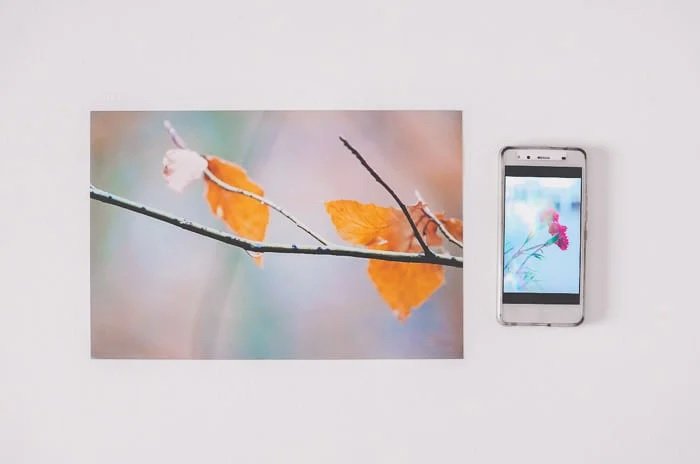 A photo print and a smartphone against a light pink background