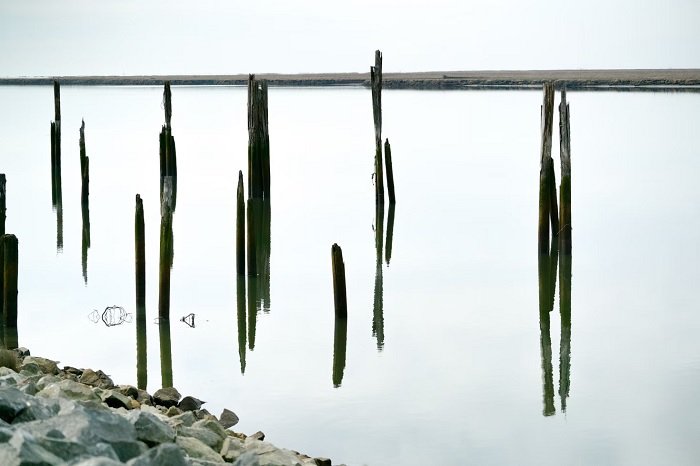 Wooden poles sticking out of a still pool of water
