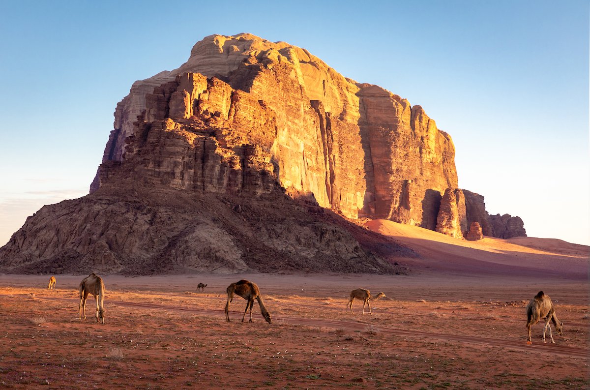 Desert rock formation image with camels edited in Adobe Lightroom