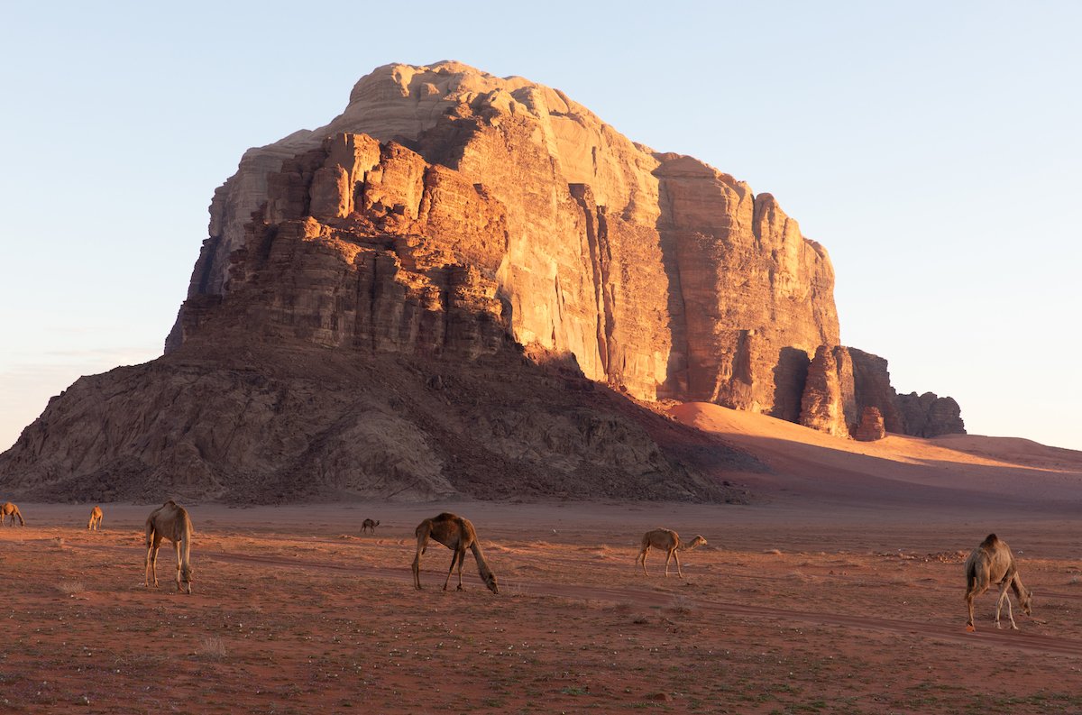 RAW image of a desert rock formation and camels
