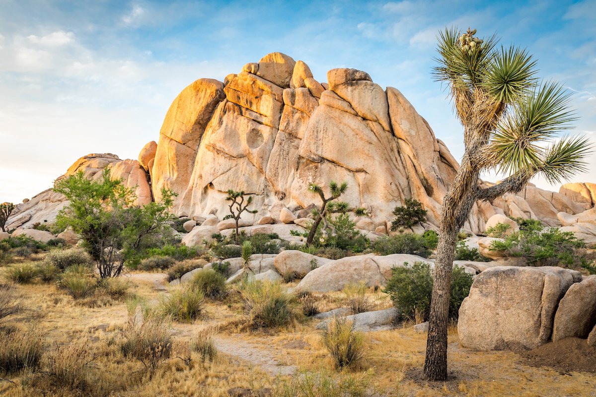 Landscape of desert rock formation and trees edited in Adobe Lightroom