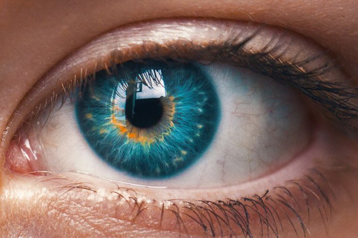 A macro photography image of an eye