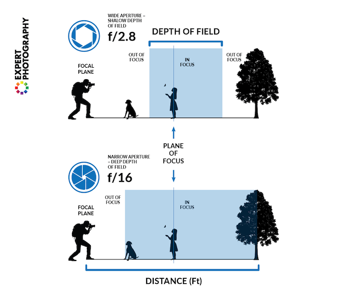An infographic illustrating what depth of field is